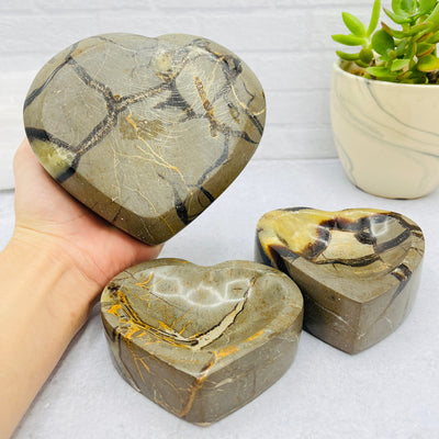  Septarian Heart Polished Bowl- Front View -#1- Back