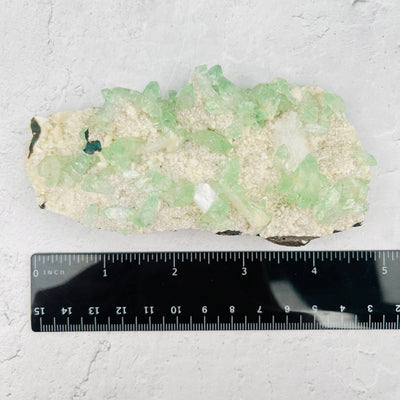 Green Apophyllite w/ Stilbite Crystals Clusters Zeolite - Measurement