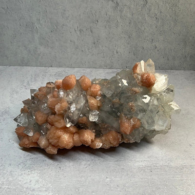 Large zeolite cluster with apophyllite and peach stillbite crystals on a gray background