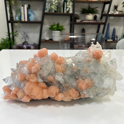 Large zeolite cluster with apophyllite and peach stillbite crystals on a white table top