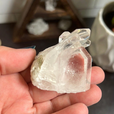 Crystal cluster with multiple points in it held in a woman's hand with a black background.