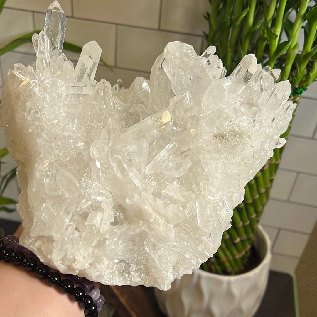 Large Crystal Quartz cluster held up by a womann's hand.