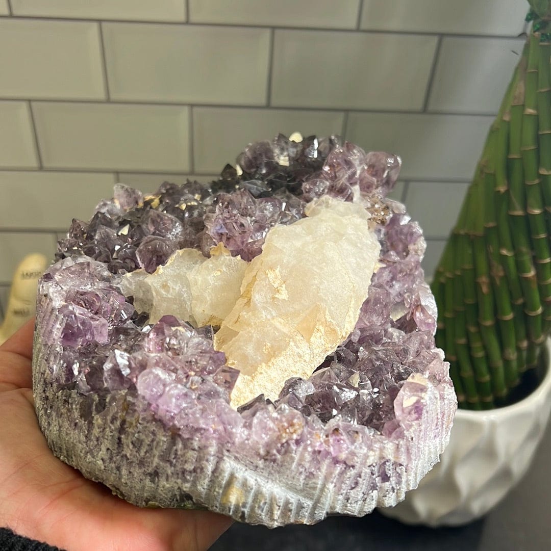 Large amethyst cluster with white calcite formations on it held in a woman's hand.