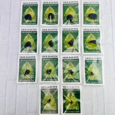 All fourteen Moldavite pieces displayed in their bags lined up on a white surface.