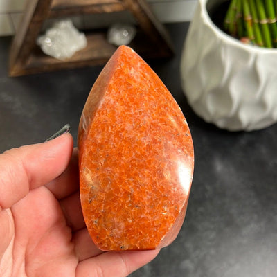 Orange calcite flame shaped polished in a woman's hand, it has a minor chip at the tip.