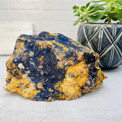 Azurite with Malachite Stone - OOAK - with plant