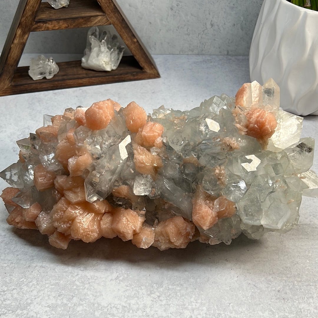 Large zeolite cluster with apophyllite and peach stillbite crystals on a gray background