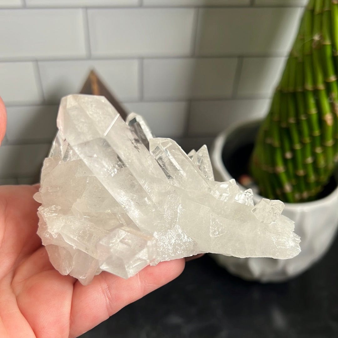 Crystal Quartz cluster with two prominent crystal points surrounded by many points held in a woman's hand.