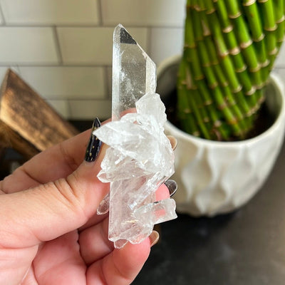 Crystal Quartz Cluster in a woman's hand.