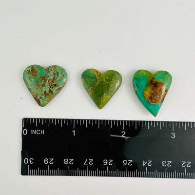 3 Turquoise Hearts Cabochons next to a ruler for size reference