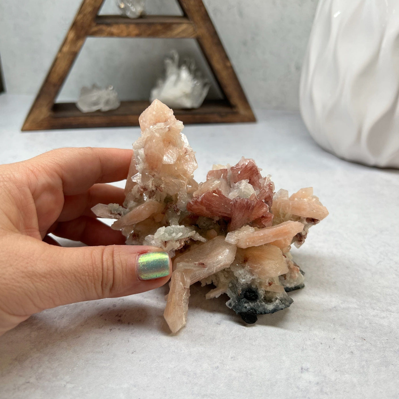 Zeolite with peach and red stilbite and white aphophyolite.  Displayed next to a woman's hand on a gray cement background.