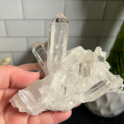 Crystal Quartz cluster with two prominent crystal points surrounded by many points held in a woman's hand.