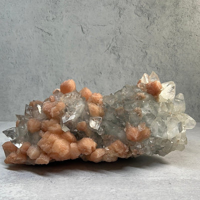 Large zeolite cluster with apophyllite and peach stillbite crystals on a gray background.