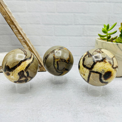 Polished Tigers Eye Sphere - You Choose - Home Decor