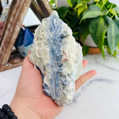 Blue Formation Kyanite With Hand For Reference 