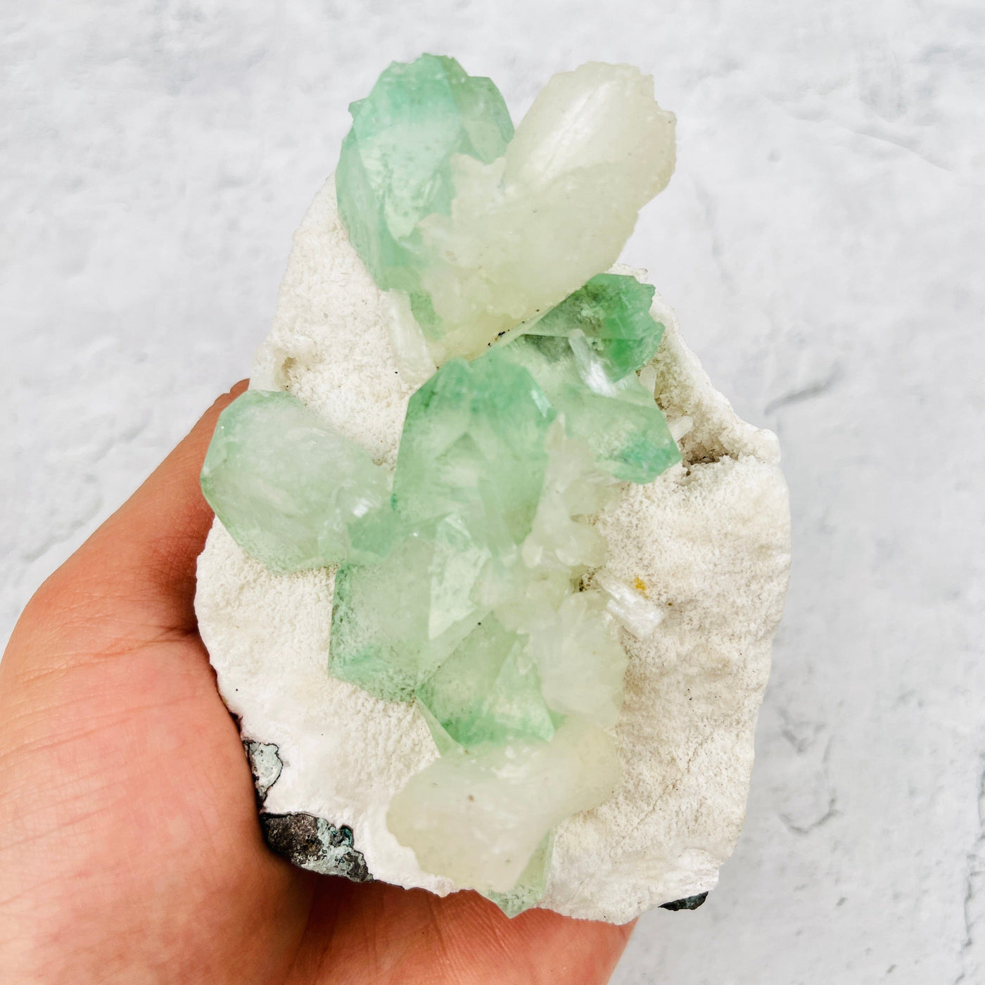 Green Apophyllite with Stilbite Crystal Clusters Zeolites - With Hand For Sizing Reference