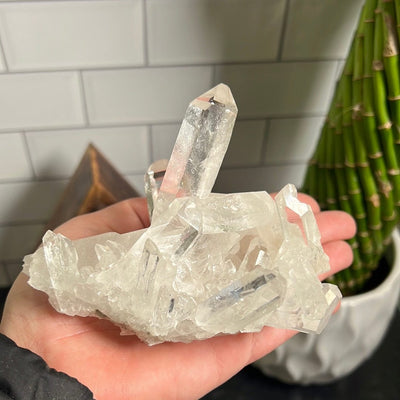 Crystal Quartz cluster with two prominent crystal points surrounded by many points held in a woman's hand.