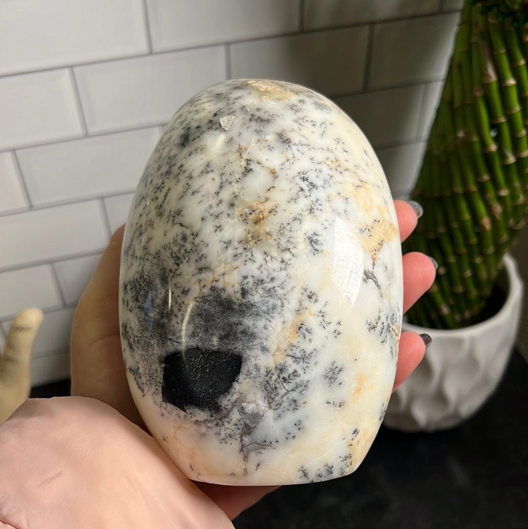Dendrite Opal Cut Base formation.  It is white or creamish in color with black markings.