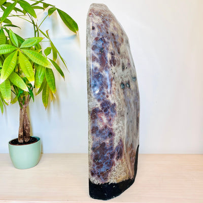 Polished Amethyst Geode Cathedral turned to right side profile, displaying natural and polished backing and edges.