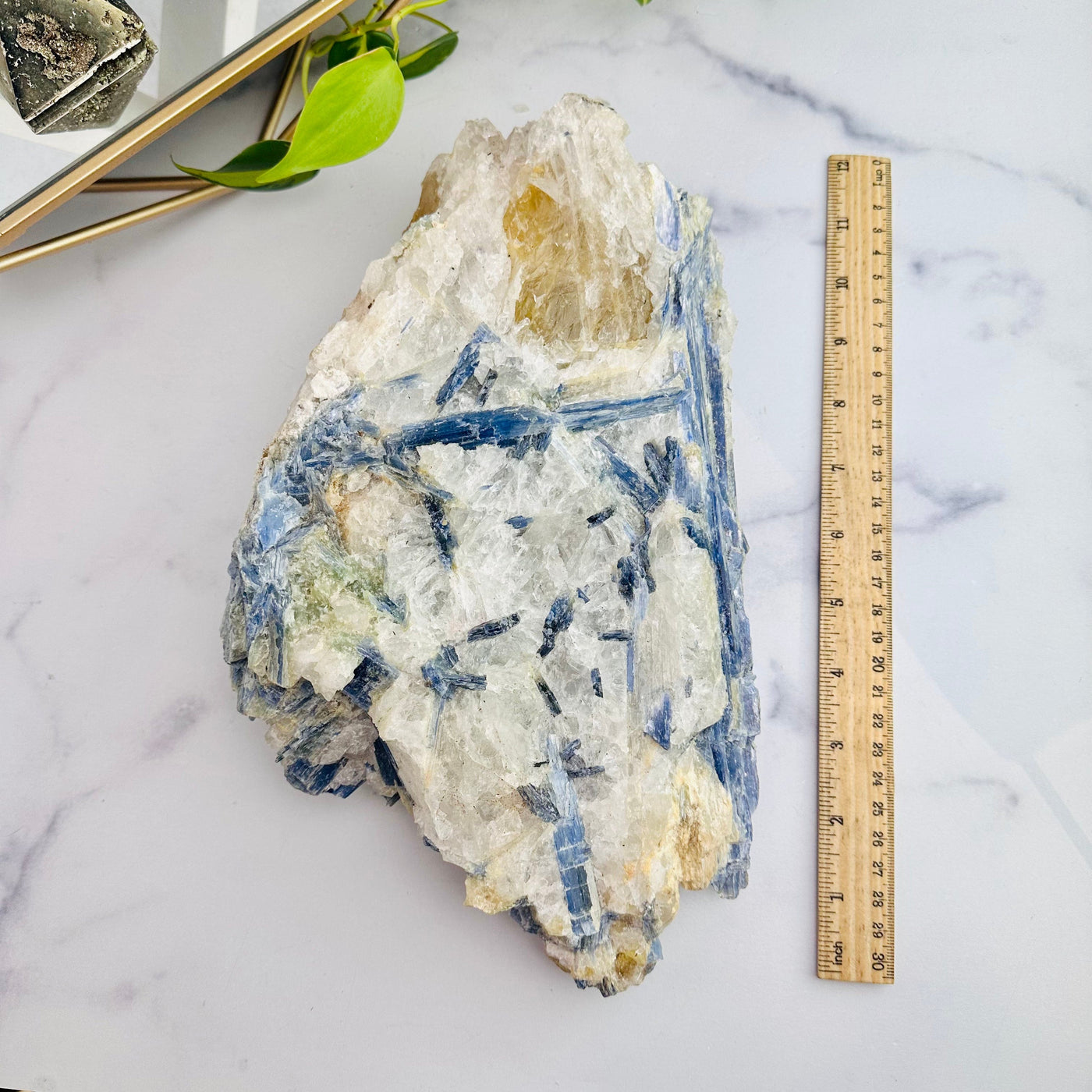 Blue Kyanite Rough Formation With Ruler For Size Reference 