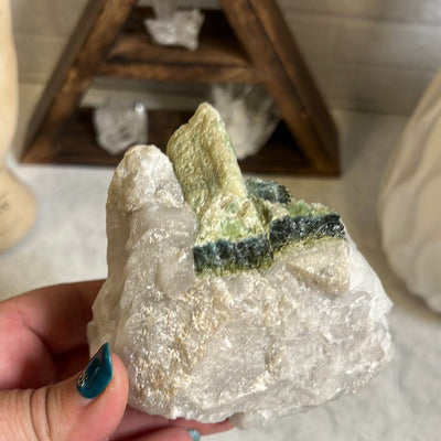 Rough water melon tourmaline rods in a crystal matrix held in a woman's hand.