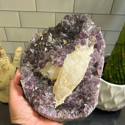 Large amethyst cluster with white calcite formations on it held in a woman's hand.