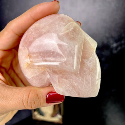 Up close side view of Rose Quartz Polished Skull number 1, held in hand.