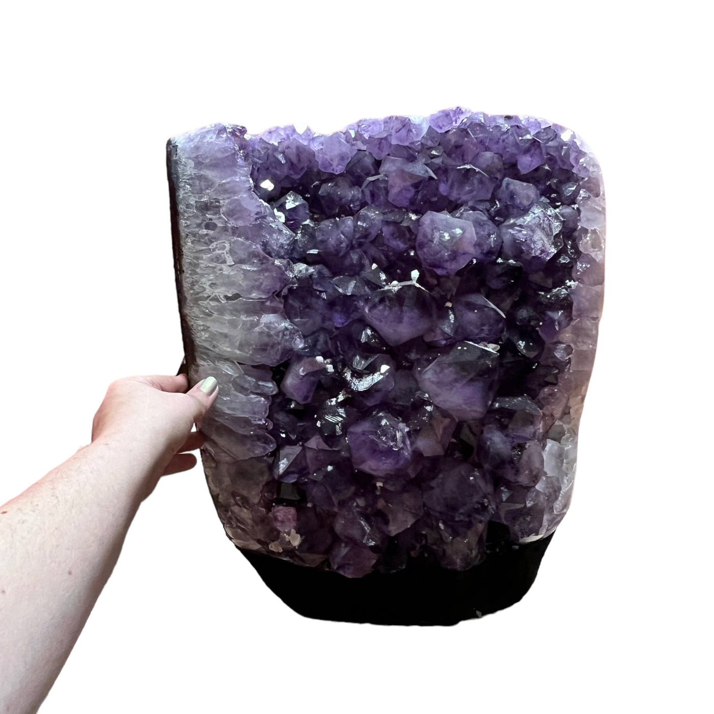 Amethyst Crystal Cluster Cut Base with a hand for size reference