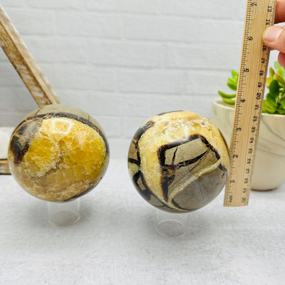 Septarian  Polished  Spheres - You Choose - with measures