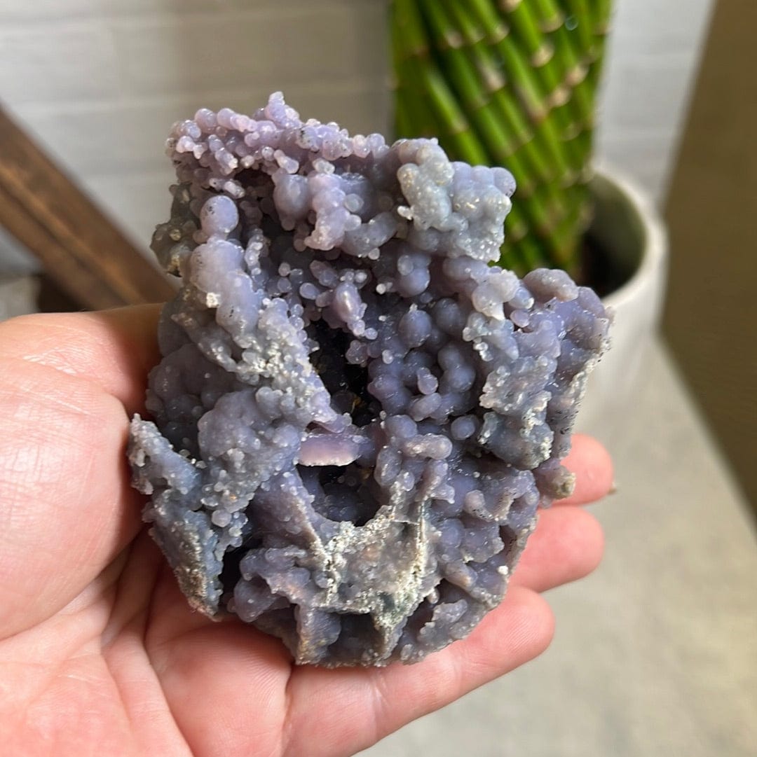 hand holding up Grape Agate Botryoidal Purple Chalcedony Formation with decorations in the background