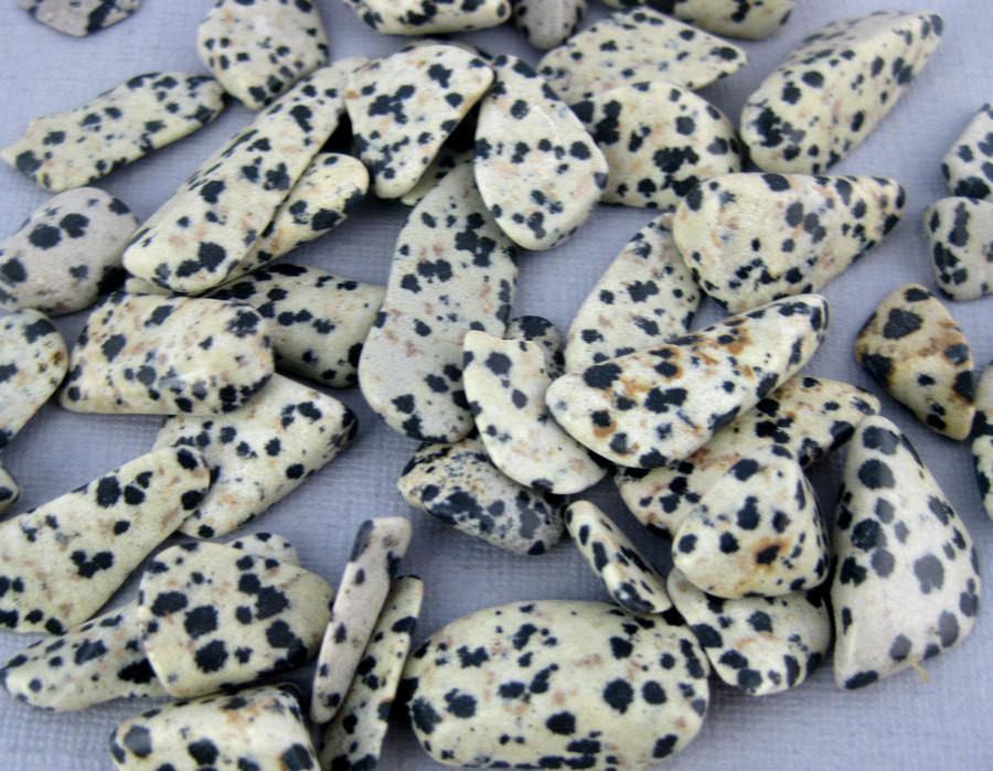 pile of dalmatian jasper chips