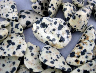 up close shot of dalmatian jasper chip in a pile