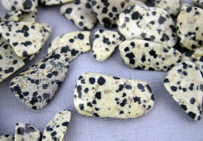 up close shot of pile of dalmatian jasper chips