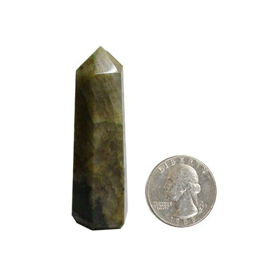 Labradorite Crystal Tower Obelisk Point next to a quarter for size reference