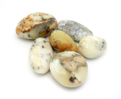 Large Tumbled Agate stones on white background