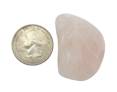 Large Tumbled Stone in Rose Quartz next to a Quarter for Size Reference 