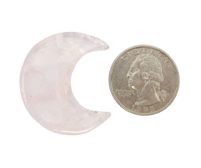 Rose Quartz Half Crescent Moon - Drilled displayed next to a quarter for size reference.