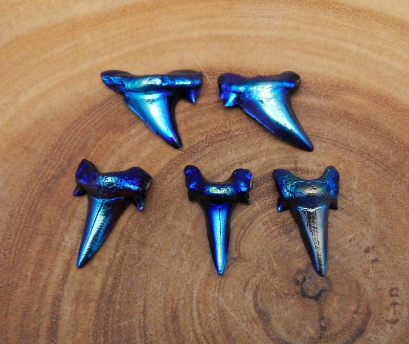 Mystic Blue Titanium Shark Tooth  - 5 on a table