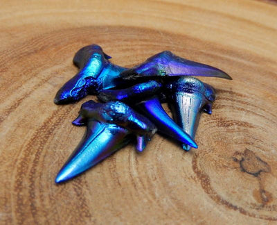 Mystic Blue Titanium Shark Tooth  - a few in a bunch on a table