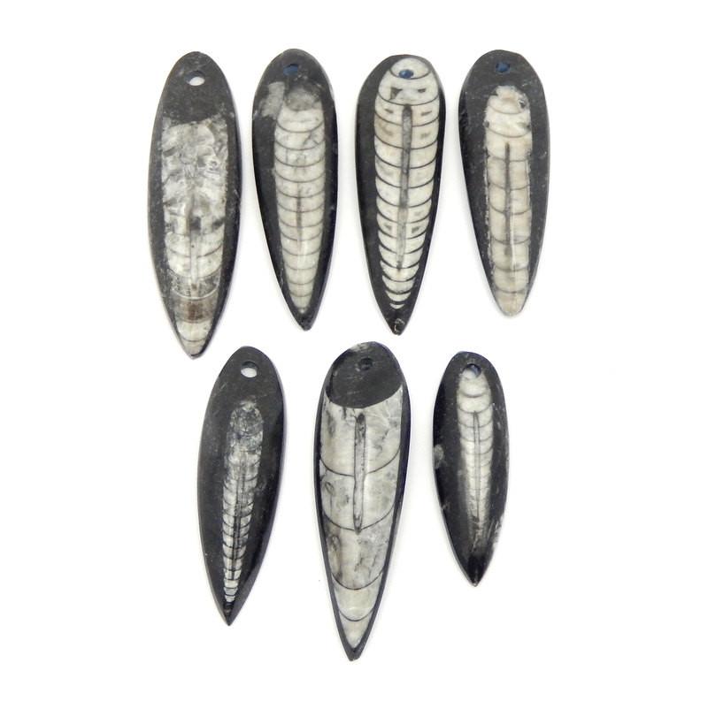 Orthoceras - Orthoceras Teardrop Fossil Drop Bead - Top Drilled Bead (RK2B17-09)