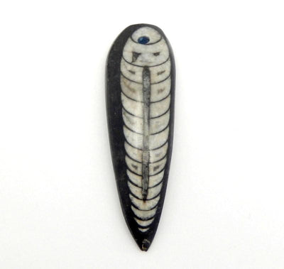 Orthoceras - Orthoceras Teardrop Fossil Drop Bead - Top Drilled Bead (RK2B17-09)