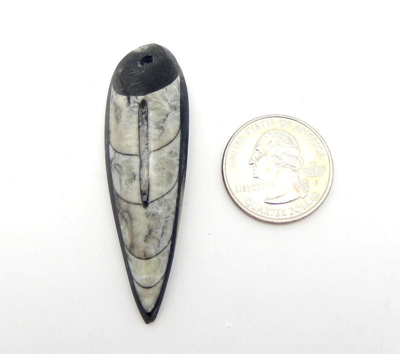 Orthoceras - Orthoceras Teardrop Fossil Drop Bead - Top Drilled Bead (RK2B17-09)