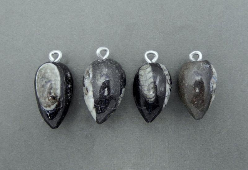 Orthoceras Teardrop Fossil Drop Pendant with Silver Tone Bail - 4 in a row