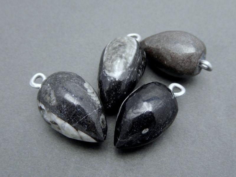 Orthoceras Teardrop Fossil Drop Pendant with Silver Tone Bail - 4 in a bunch