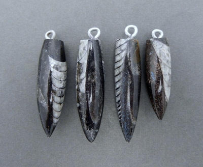 4 orthoceras point pendants on gray background