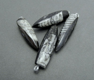 4 orthoceras point pendants  on gray background