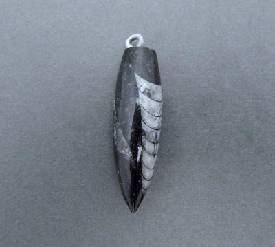 up close shot of orthoceras point pendant on gray background