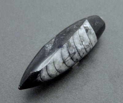up close shot of orthoceras point pendant on gray background