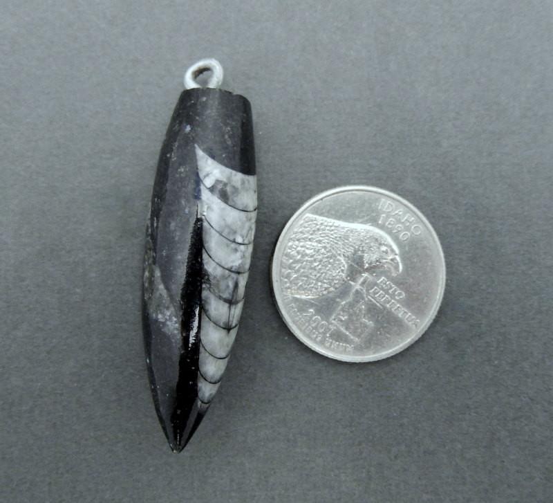 orthoceras point pendant next to a quarter on gray background