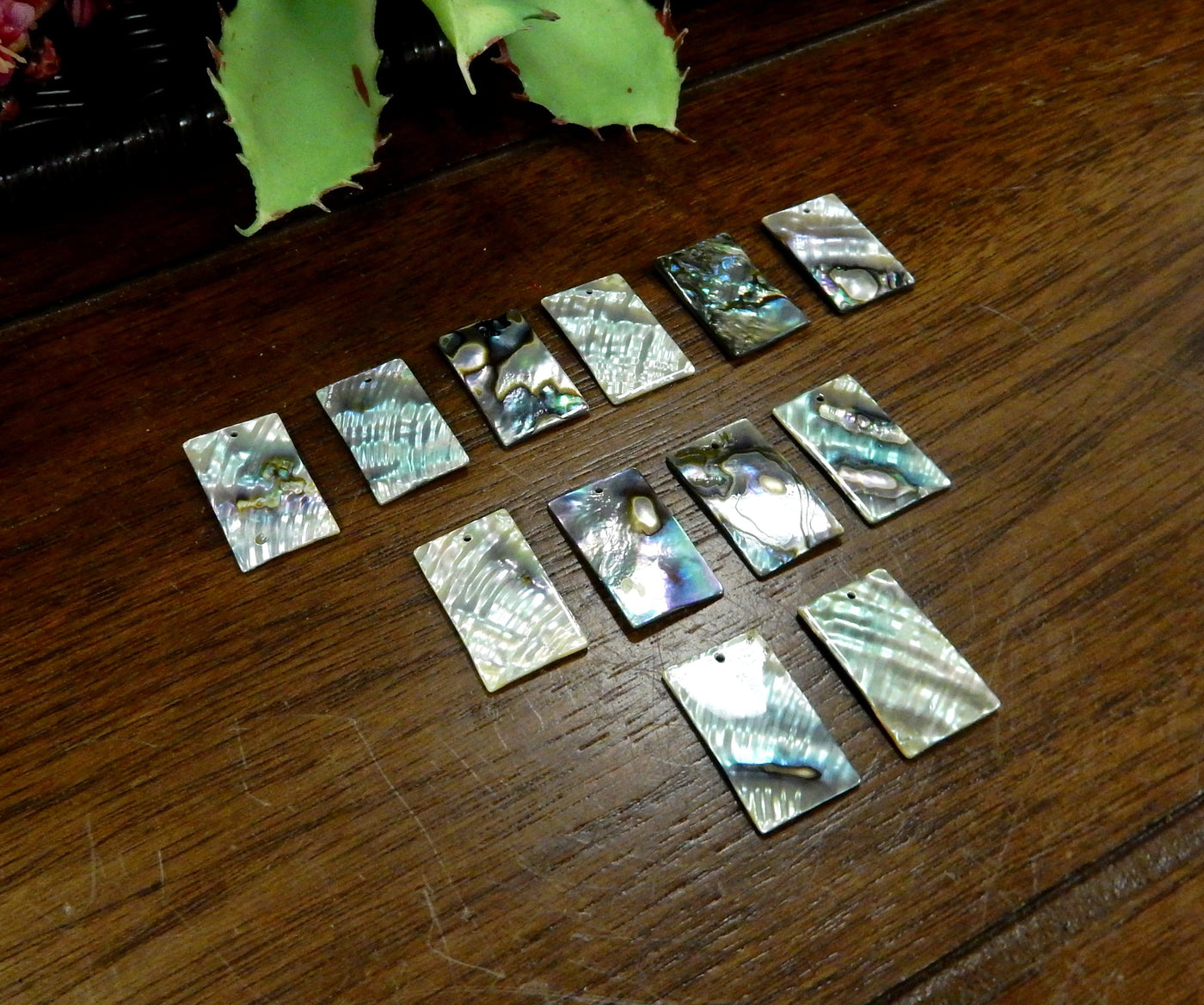 Abalone Rectangle Beads displayed in an alter from an angle displaying the front.